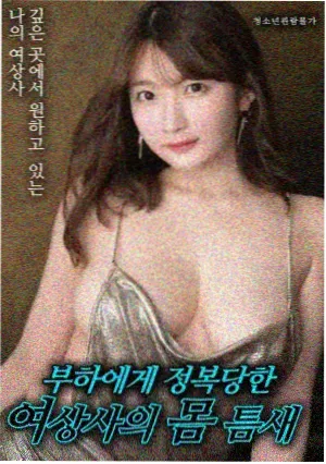 水龙吟海外版权